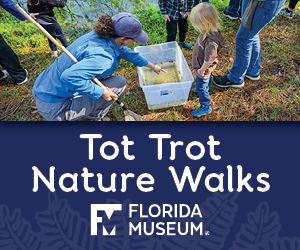 Florida Museum of Natural History Tot Trot Florida Museum of Natural History Tot Trot