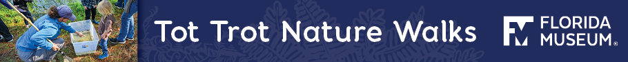Florida Museum of Natural History Tot Trot Florida Museum of Natural History Tot Trot