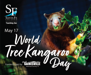 Santa Fe College Teaching Zoo Tree Kangaroo Day 2026 Santa Fe College Teaching Zoo Tree Kangaroo Day